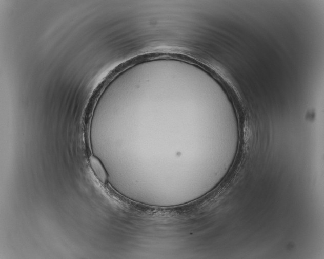 X0000114730972200911121751