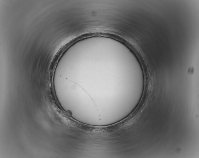 X0000114730974200911121751