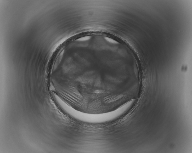 X0000114730975200911121751