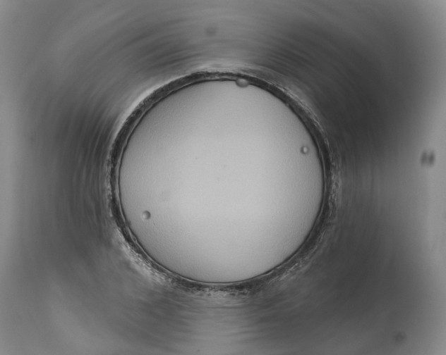 X0000114730976200911121751