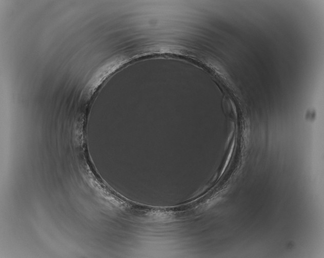 X0000114730977200911121751