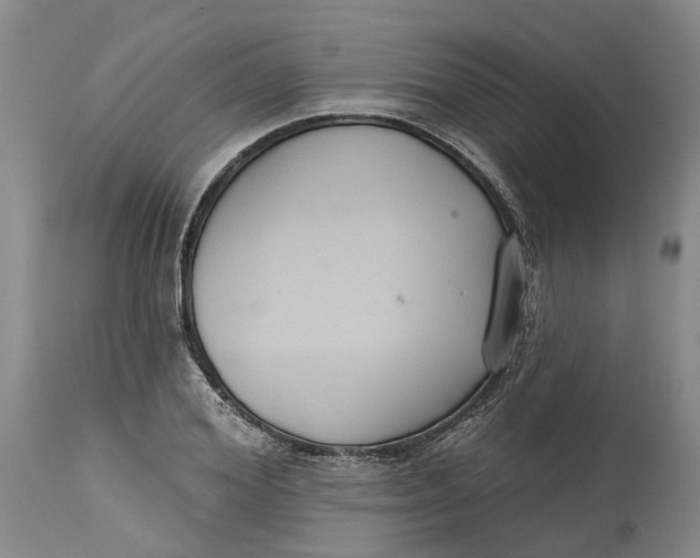 X0000114730980200911121751