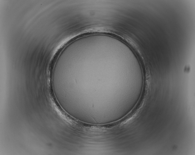X0000114730981200911121751