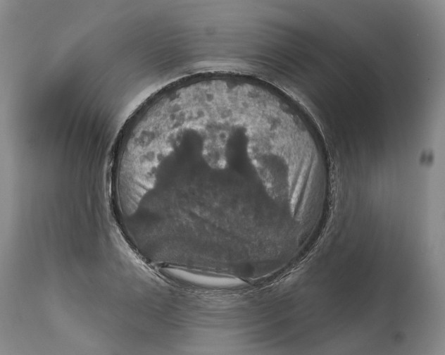 X0000114730983200911121751
