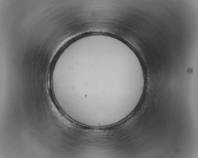 X0000114730984200911121751