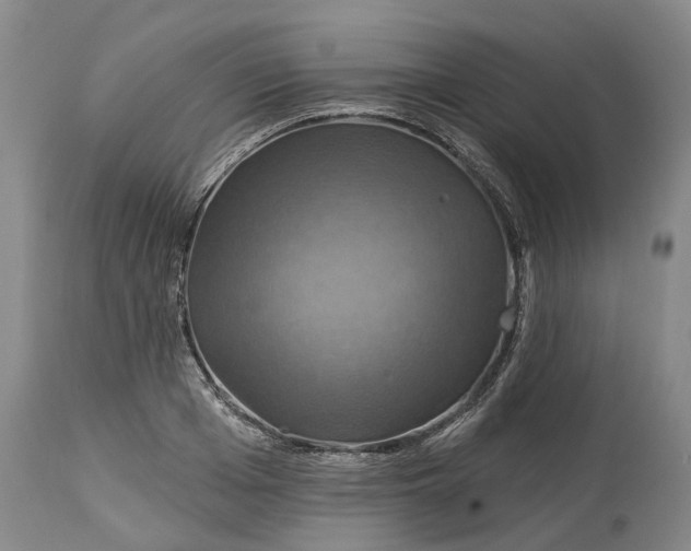 X0000114730985200911121751