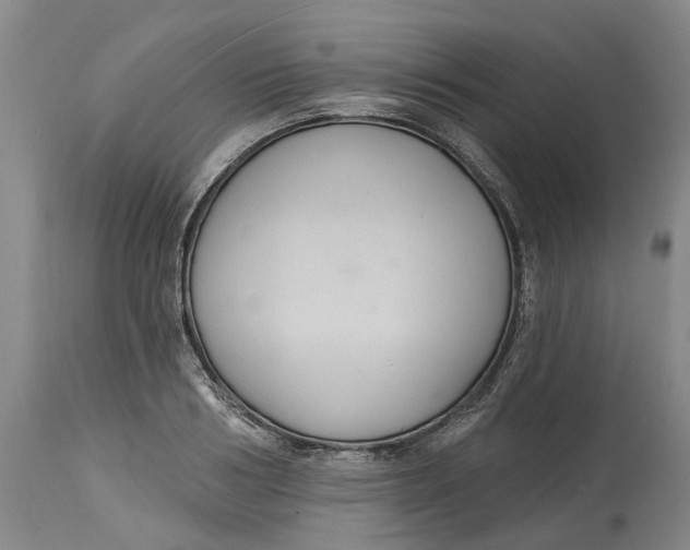 X0000114730986200911121751