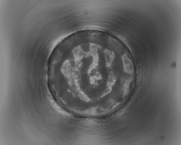 X0000114730987200911121750