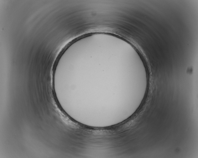 X0000114730988200911121750