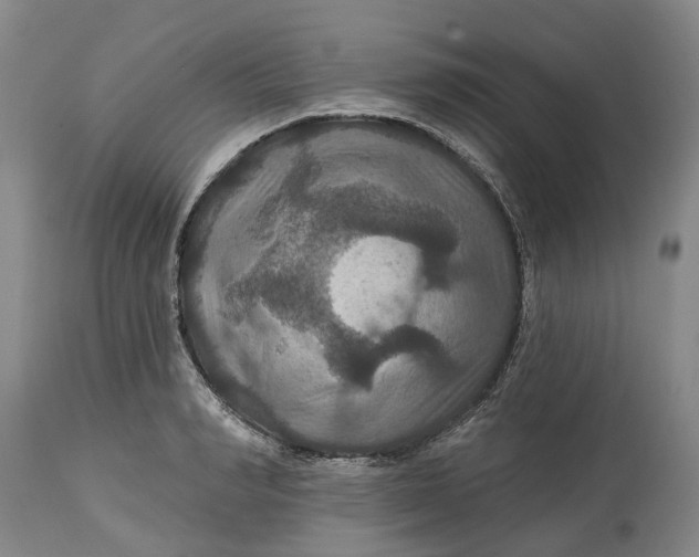 X0000114730990200911121750
