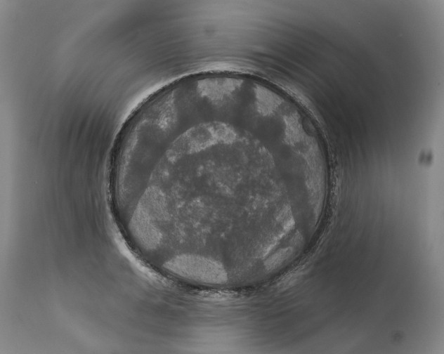 X0000114730991200911121750