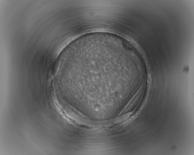 X0000114730993200911121750
