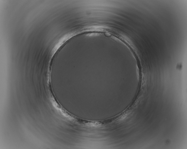 X0000114730994200911121750