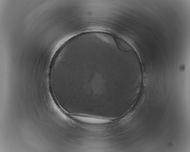 X0000114730995200911121750