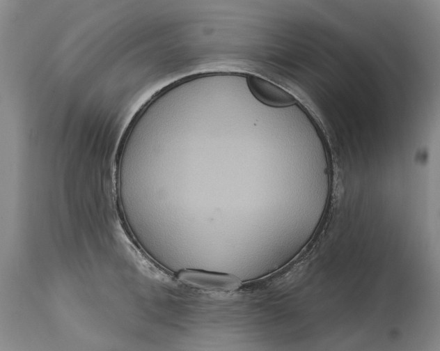 X0000114730996200911121750