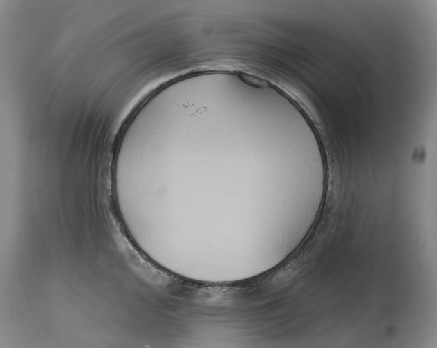 X0000114731000200911121750