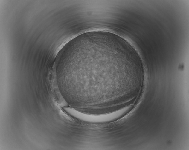X0000114731001200911121750