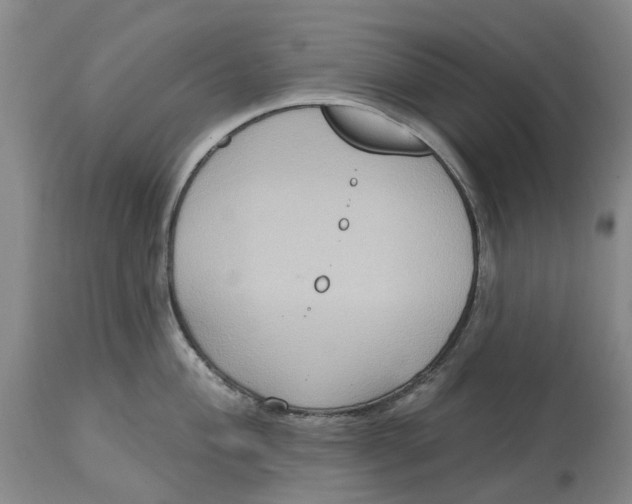 X0000114731004200911121750