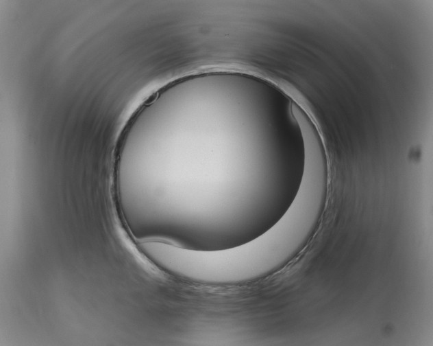 X0000114731005200911121750