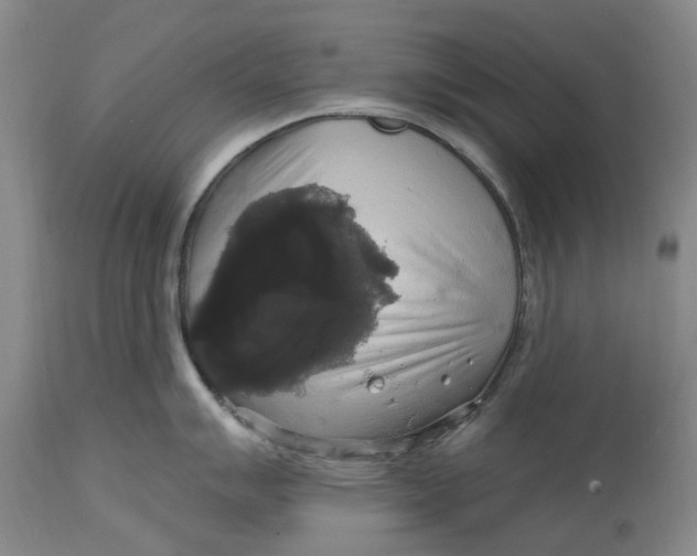 X0000114731007200911121750