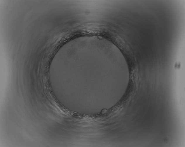 X0000114731009200911121750