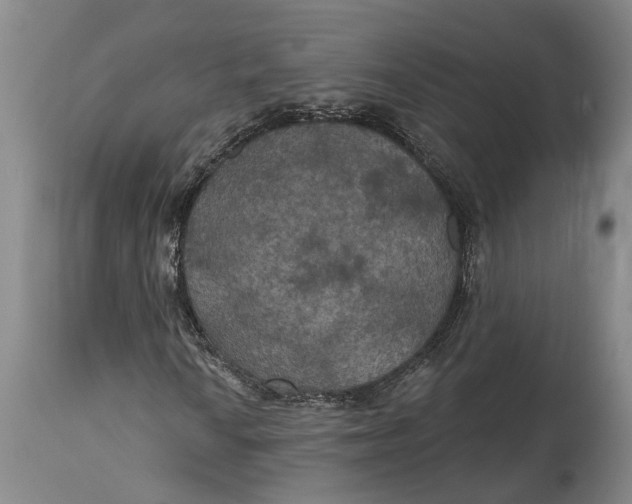 X0000114731010200911121750