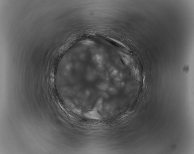 X0000114731011200911121750