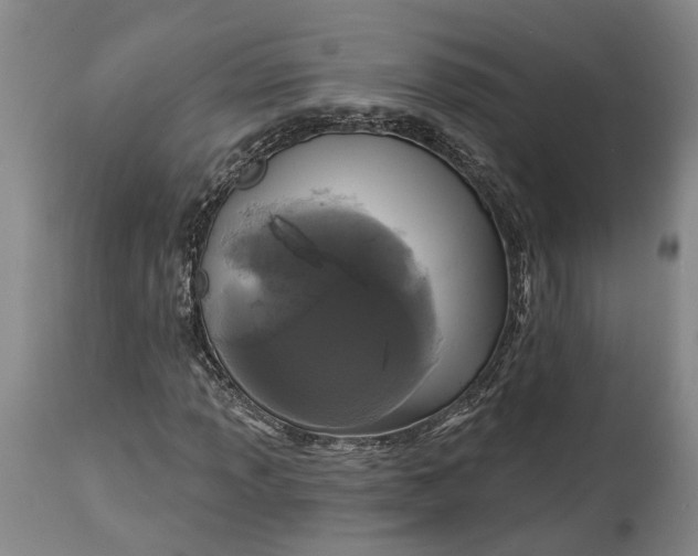 X0000114731013200911121750