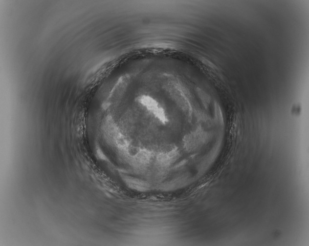 X0000114731014200911121750