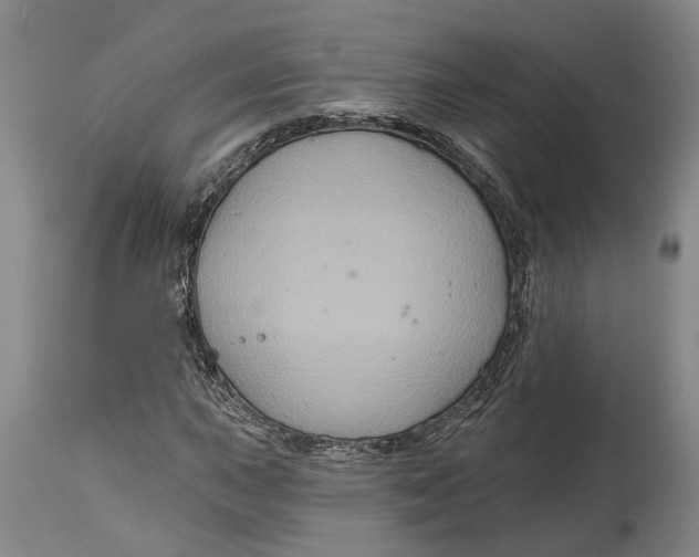 X0000114731015200911121750