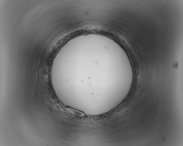 X0000114731016200911121750