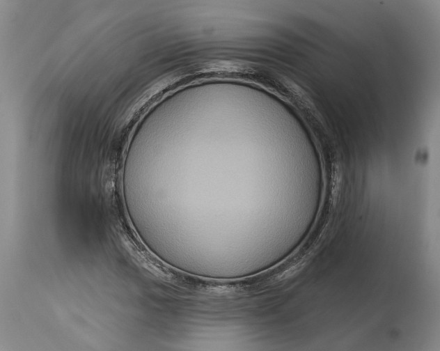 X0000114731017200911121750