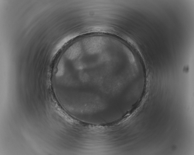 X0000114731019200911121750