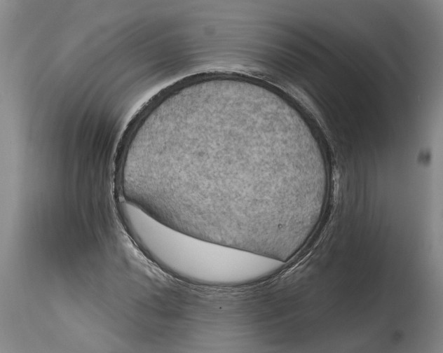 X0000114731020200911121750