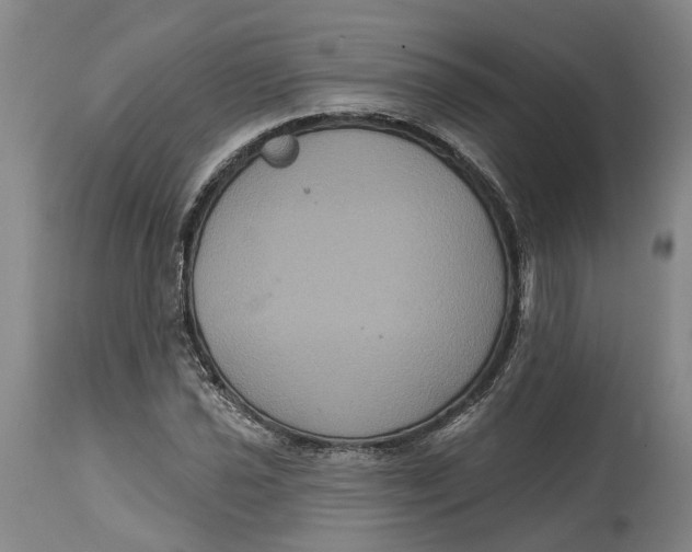 X0000114731021200911121750