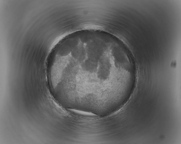 X0000114731022200911121750