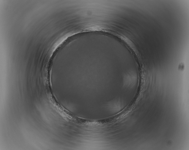 X0000114731023200911121750