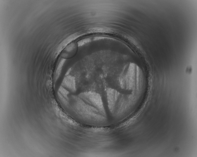 X0000114731025200911121750