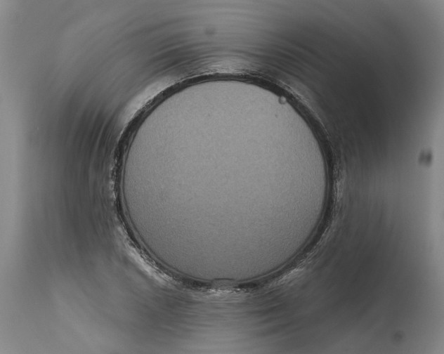X0000114731026200911121750
