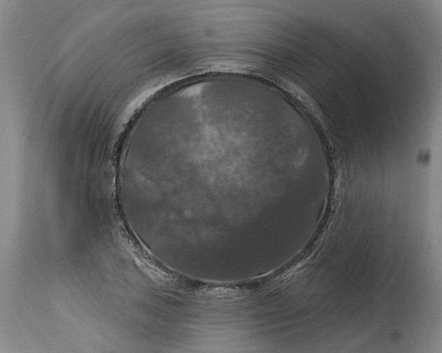 X0000114731027200911121750