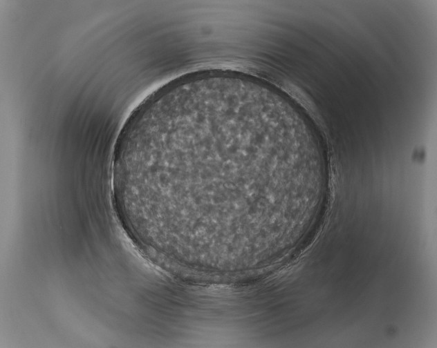 X0000114731028200911121750