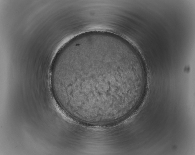 X0000114731029200911121750