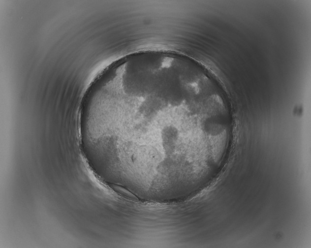 X0000114731030200911121750