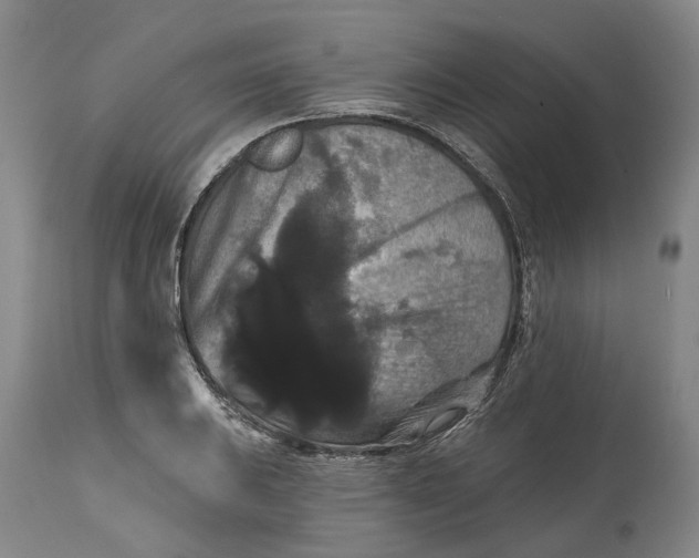 X0000114731031200911121750