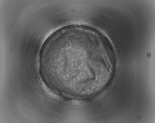 X0000114731032200911121750
