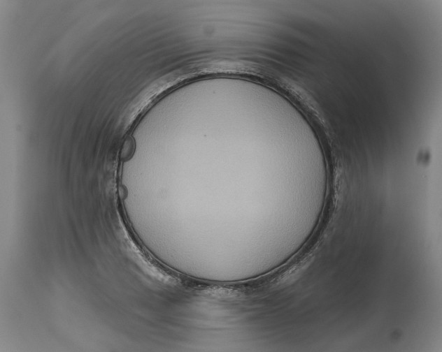 X0000114731033200911121750