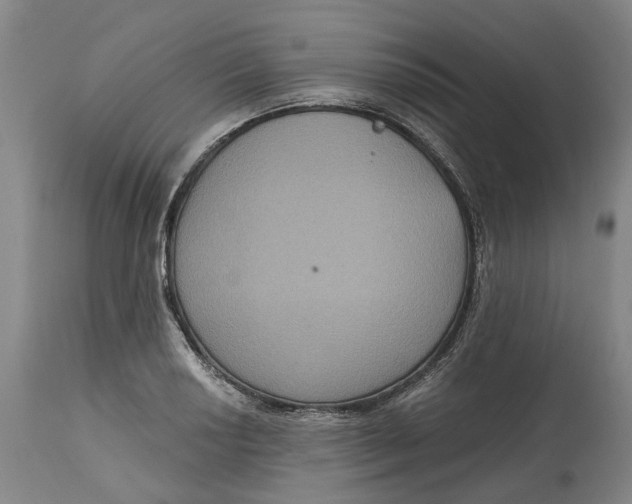 X0000114731034200911121750