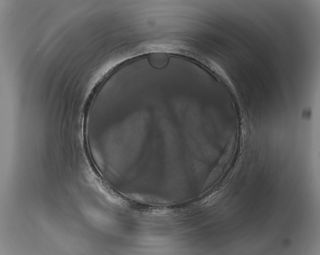 X0000114731035200911121750