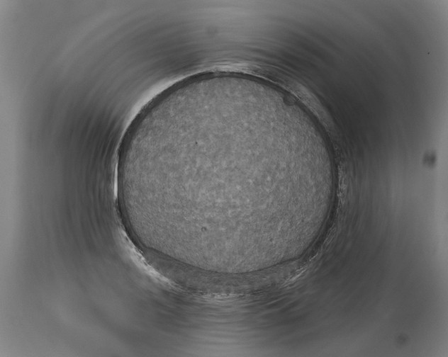 X0000114731036200911121750