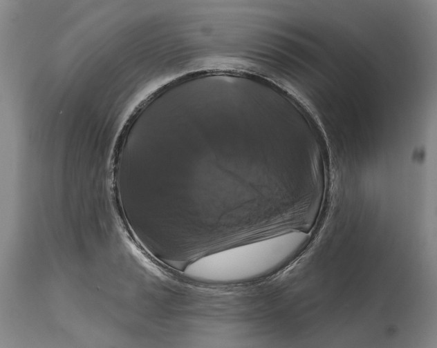 X0000114731037200911121750